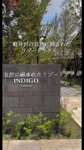 一度は行きたい極上ホテルのTikTok投稿