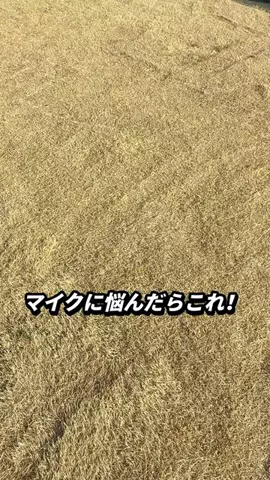 佐藤さん/パパの日常　家に帰ったら本気だす！のTikTok投稿