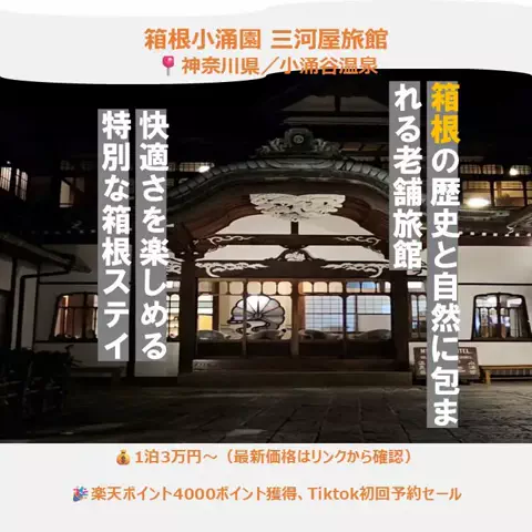 一度は行きたい極上ホテルのTikTok投稿