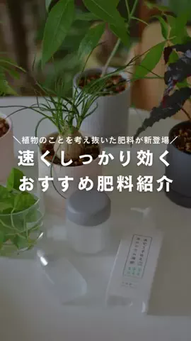 かい | 園芸インストラクターのTikTok投稿