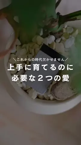 かい | 園芸インストラクターのTikTok投稿