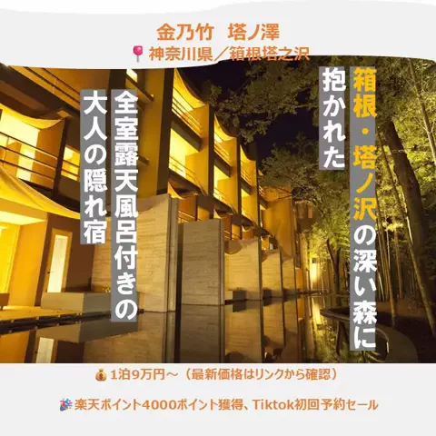 一度は行きたい極上ホテルのTikTok投稿