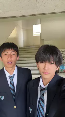 はつやぎのTikTok投稿