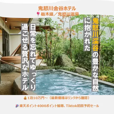 一度は行きたい極上ホテルのTikTok投稿