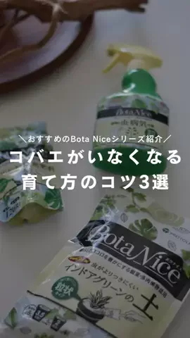 かい | 園芸インストラクターのTikTok投稿