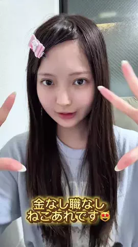 ねこあれのTikTok投稿