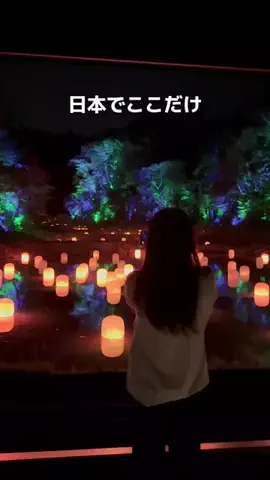 カップル旅✈️関東発お出かけ~旅行のTikTok投稿