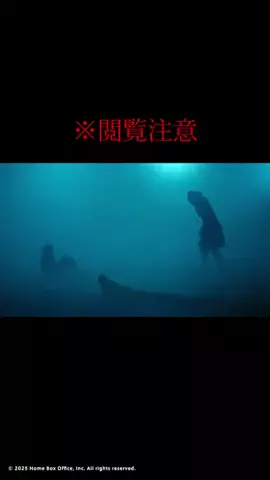 るい【ホラー映画みるひと。】🍿👻のTikTok投稿
