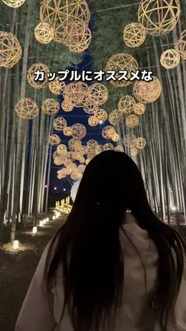 カップル旅✈️関東発お出かけ~旅行のTikTok投稿