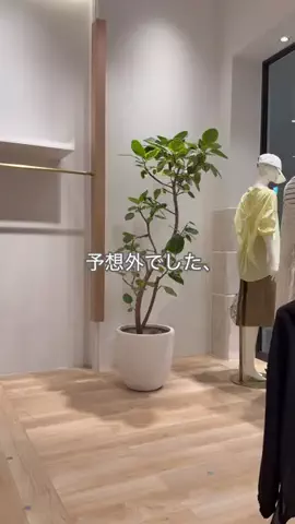 sakiのTikTok投稿