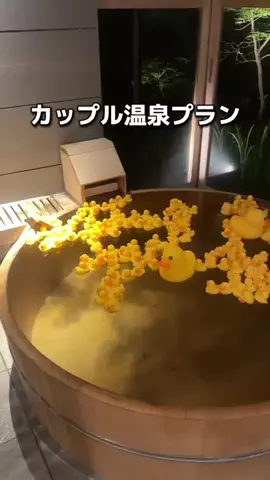カップル旅✈️関東発お出かけ~旅行のTikTok投稿