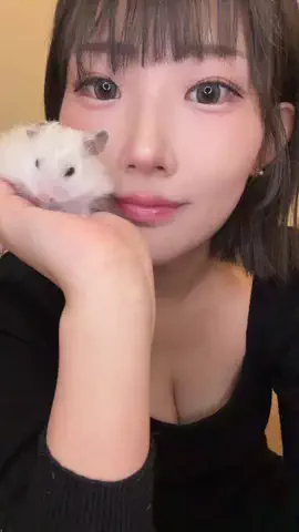 桜野桃🍒SakuranoMomoのTikTok投稿