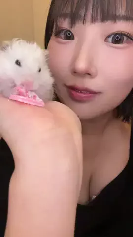 桜野桃🍒SakuranoMomoのTikTok投稿