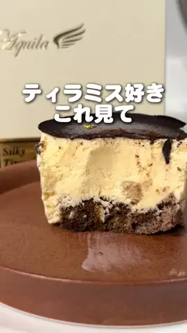 ゴマのTikTok投稿