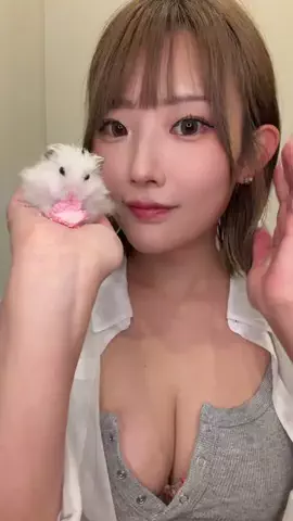 桜野桃🍒SakuranoMomoのTikTok投稿