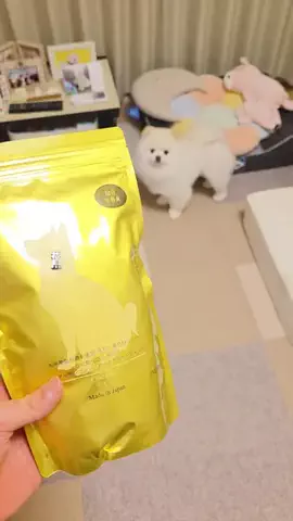 GODZILLAのTikTok投稿