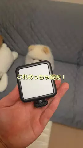 GODZILLAのTikTok投稿