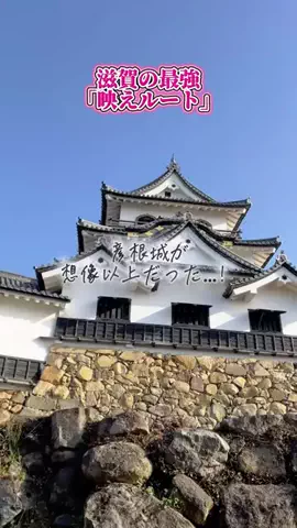 しろさんぽのTikTok投稿