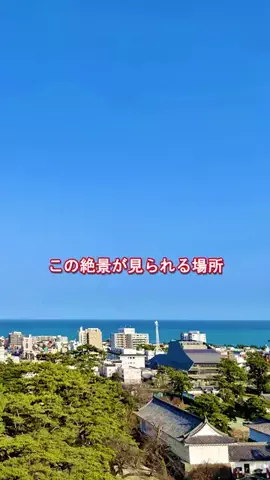 おでかけポコのTikTok投稿