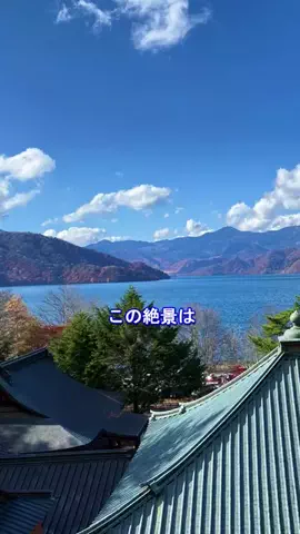 おでかけポコのTikTok投稿
