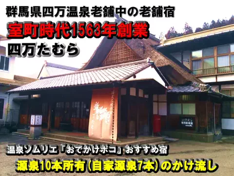 おでかけポコのTikTok投稿