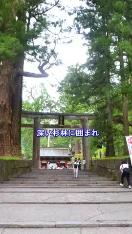 おでかけポコのTikTok投稿