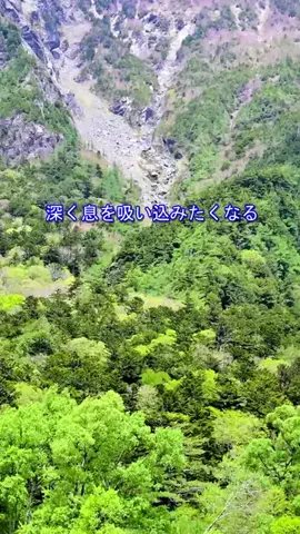 おでかけポコのTikTok投稿