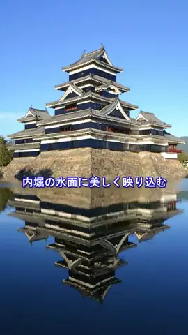 おでかけポコのTikTok投稿