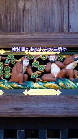 おでかけポコのTikTok投稿