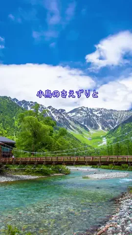 おでかけポコのTikTok投稿