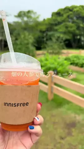 なおちぇん（グルメと旅）のTikTok投稿