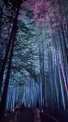 なおちぇん（グルメと旅）のTikTok投稿