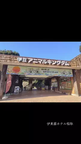 こたもんのTikTok投稿