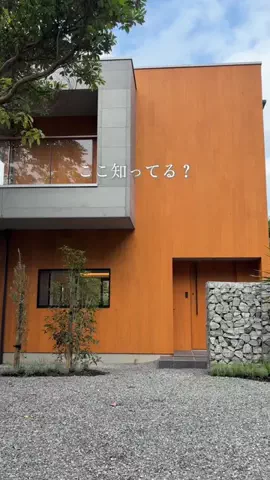 むらかみかれん (慶應卒ニート)🇯🇵のTikTok投稿