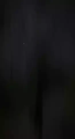 イチのTikTok投稿