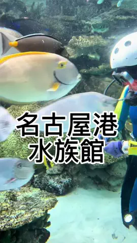 🫧しーの️✌︎¨̮ 🫧のTikTok投稿
