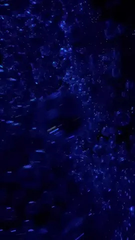 🫧しーの️✌︎¨̮ 🫧のTikTok投稿