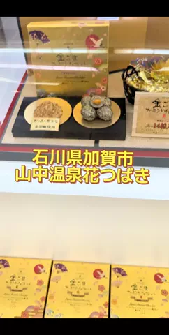 のぶ(スーパー旅行系クリエイター)のTikTok投稿