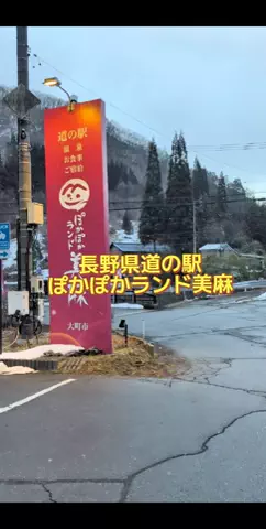 のぶ(スーパー旅行系クリエイター)のTikTok投稿