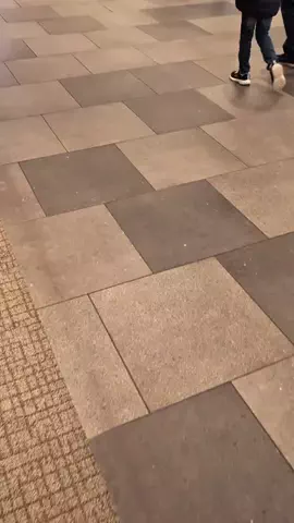 殿様のTikTok投稿