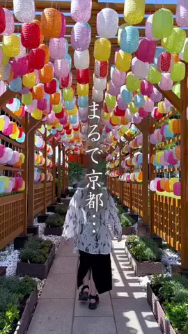 ちぃカフェ︎𐀑𐃯 ⋆⸜ 埼玉カフェ＆埼玉グルメ巡り⸝⋆のTikTok投稿