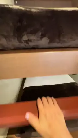 くれちゃん𖨆📛🦖のTikTok投稿