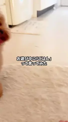 むぎ🍫🧸のTikTok投稿