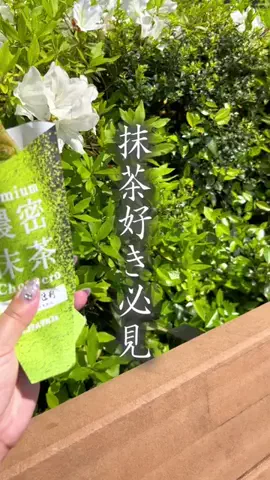 ちぃカフェ︎𐀑𐃯 ⋆⸜ 埼玉カフェ＆埼玉グルメ巡り⸝⋆のTikTok投稿