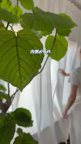 育児の合間に整えたいのTikTok投稿