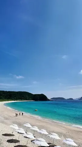 沖縄グルメ／OKINAWA SELECTのTikTok投稿
