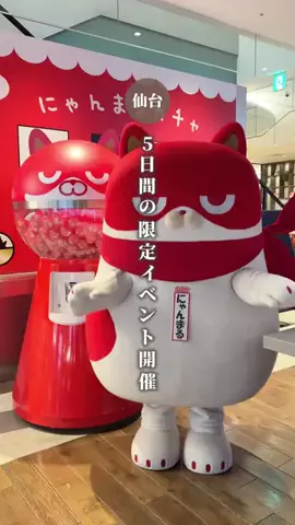 つむぎ | 仙台宮城グルメ・ラーメン・カフェのTikTok投稿