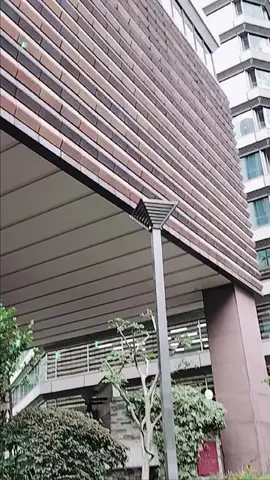 あけのTikTok投稿