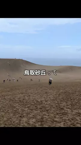 流音/ときめき商品レビューのTikTok投稿