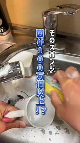 湘南放浪少女のTikTok投稿